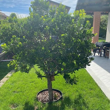 Bed & Breakfast Casa Arge