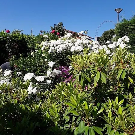 Casa Arge 3* La Morra