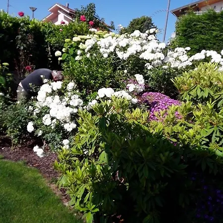 Casa Arge Bed & Breakfast