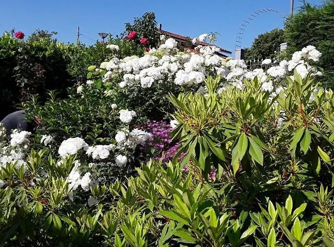 Casa Arge 3* La Morra