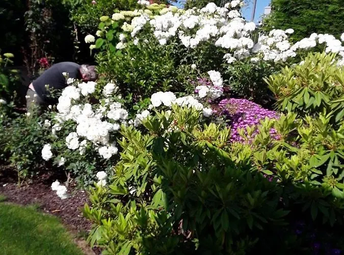 Casa Arge Bed and Breakfast